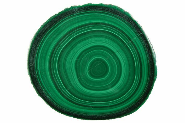 Polished Malachite Stalactite Slice - Congo #251854